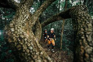 BIB: 
                            <button type="button" onclick="openModal(25393935)" class="btn btn-primary btn-sm float-right btn-popup" data-toggle="modal" data-target=".modal-high-quality">
                        <i class="fas fa-shopping-cart"></i> Add to Cart
                    </button>
                                            <button type="button" onclick="isThisMe(25393935, true)" class="btn btn-success btn-sm float-right btn-popup btn-isme hidden" data-toggle="tooltip" data-placement="bottom" title="นี่คือรูปของคุณใช่ไหม คลิกที่นี่เพื่อเอาเข้าอัลบั้ม">
                        <i class="fas fa-plus"></i> Add to album
                    </button>
                    <button type="button" onclick="isThisMe(25393935, false)" class="btn btn-warning btn-sm float-right btn-popup btn-isnotme hidden">
                        <i class="fas fa-ban"></i> Remove from album
                    </button>